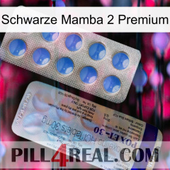 Black Mamba 2 Premium 39